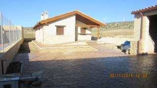 Img. Hormg. Impreso 1.JPG